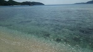 沖縄慶良間諸島の海