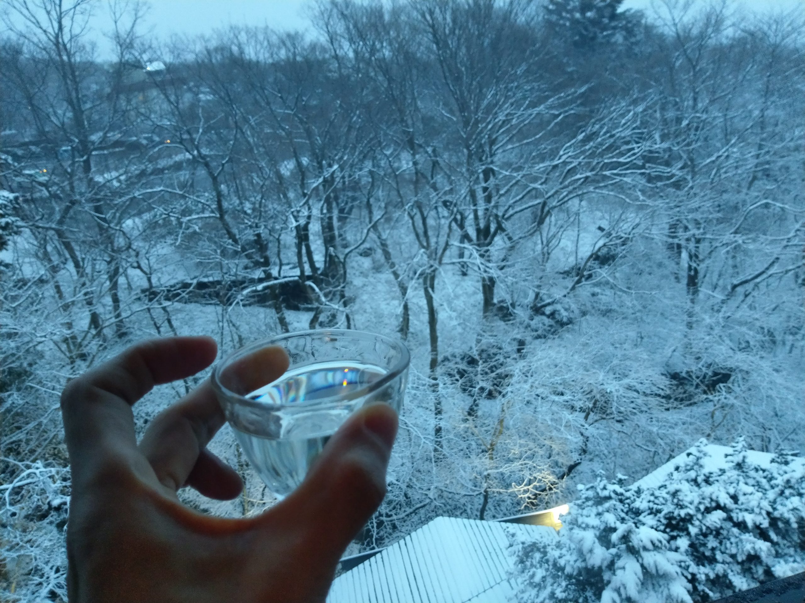 雪見酒